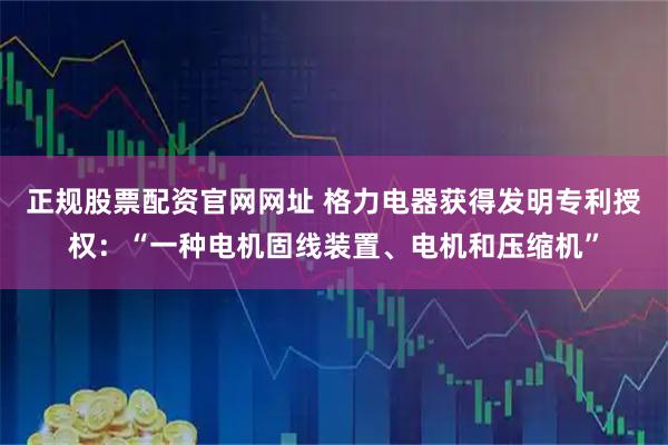 正规股票配资官网网址 格力电器获得发明专利授权：“一种电机固线装置、电机和压缩机”