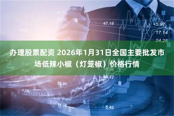 办理股票配资 2026年1月31日全国主要批发市场低辣小椒（灯笼椒）价格行情