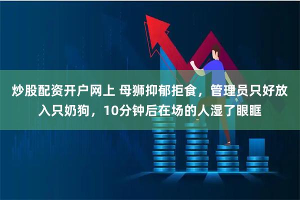 炒股配资开户网上 母狮抑郁拒食，管理员只好放入只奶狗，10分钟后在场的人湿了眼眶