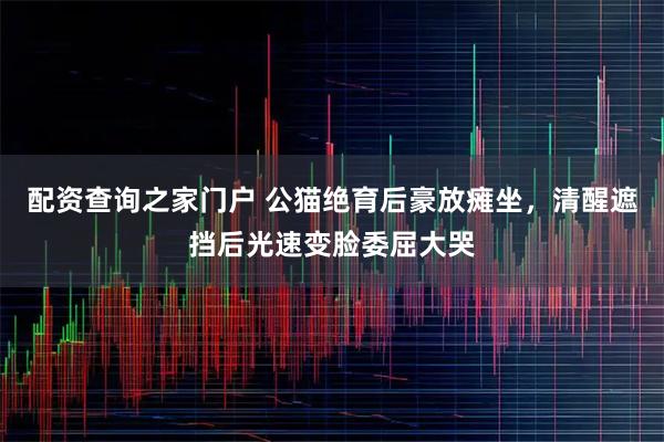 配资查询之家门户 公猫绝育后豪放瘫坐，清醒遮挡后光速变脸委屈大哭