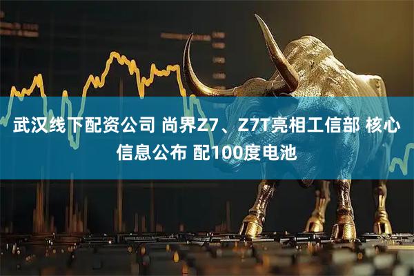 武汉线下配资公司 尚界Z7、Z7T亮相工信部 核心信息公布 配100度电池