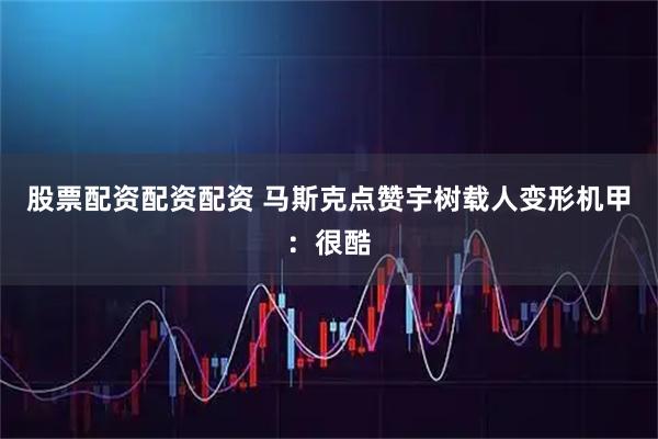 股票配资配资配资 马斯克点赞宇树载人变形机甲:很酷