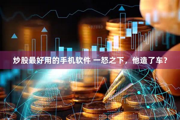 炒股最好用的手机软件 一怒之下，他造了车？